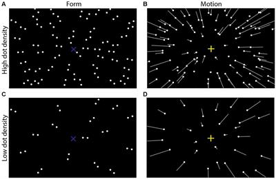 Serial dependencies between form orientation and motion direction are asymmetric